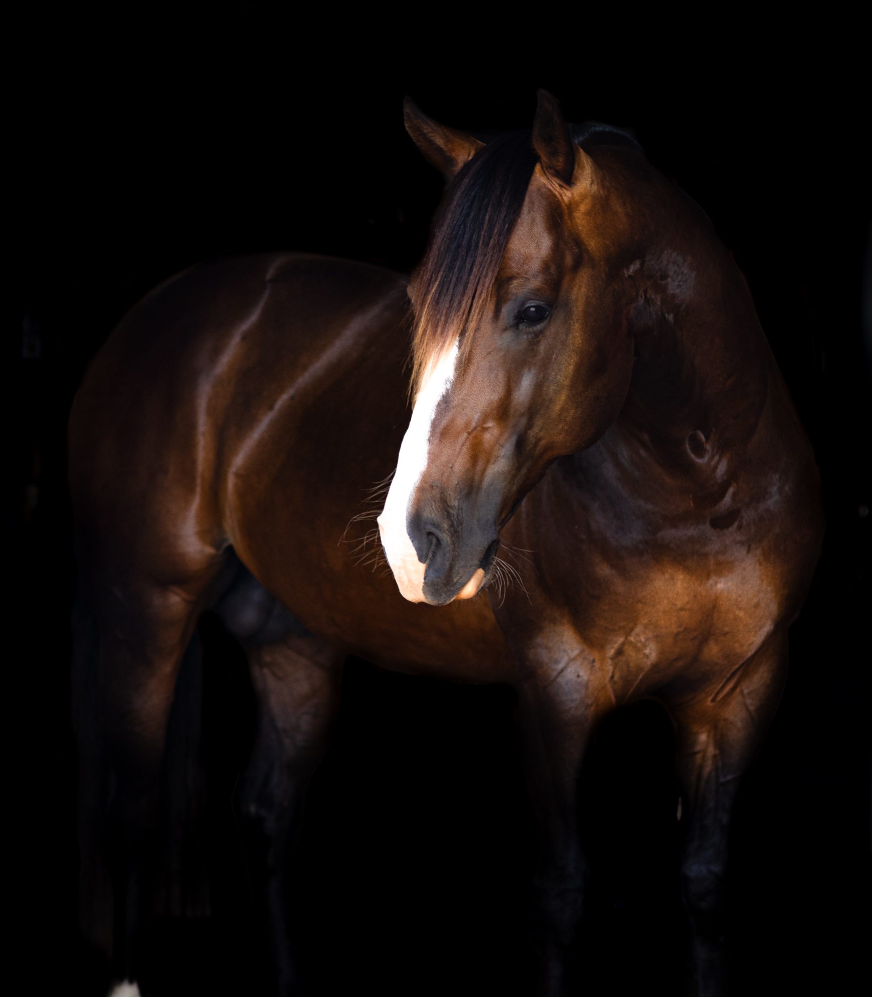 stallion/2026/profile-image-of-one-time-design-taken-on-14-may-2026-at-usa-one-time.jpg
